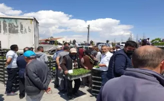 Evren’de çiftçiye fidan desteği

