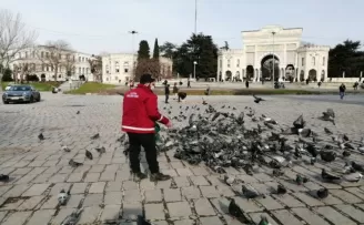 Fatih Belediyesi kısıtlamada sokak hayvanlarını unutmadı
