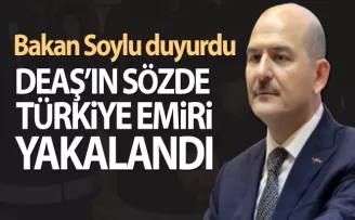 DEAŞ’a ’üst düzey’ darbe