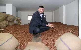 Fındık fiyatı haftayı 23,75 liradan kapatıyor