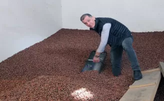 Fındık üreticide gümüş, rafta altın!