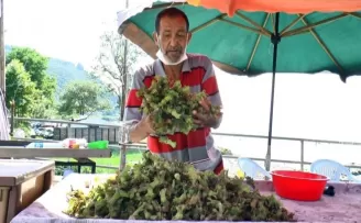 Fındık yola indi