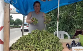 Fındık yola indi