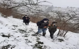 Fındıkta zirai don tespiti için çalışma başlatıldı
