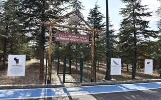 Gazi Park, yemyeşil doğası ve etkinlik alanlarıyla başkentlileri bekliyor
