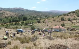 Genç Medyacılar Derneği basın hatıra ormanı açtı
