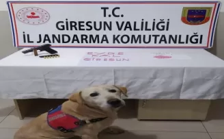 Giresun’da 220 adet uyuşturucu hap ele geçirildi

