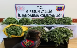 Giresun’da 26 kilogram kubar esrar yakalandı