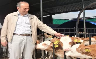Giresun’da 9 bin 170  buzağı yetiştiricisine 14 milyon liralık destek
