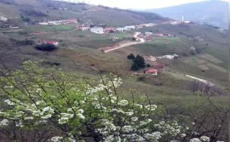 Giresun’da bir köy daha karantinaya alındı

