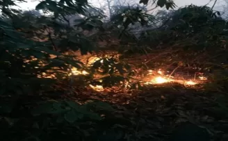 Giresun’da örtü yangını
