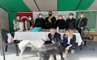 Giresun’da sokak hayvanlarını koruma etkinliği düzenlendi
