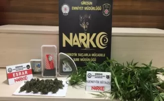 Giresun’da uyuşturucu operasyonunda 1 kişi tutuklandı
