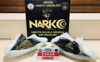 Giresun’da uyuşturucu operasyonunda 1 tutuklama
