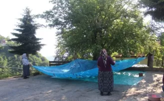 Giresunlu köylüler geleneksel yöntemlerle dut pekmezi  yapıyor
