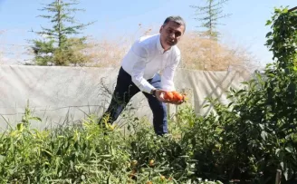 Gölbaşı Belediyesinden çiftçiye hibe buğday desteği
