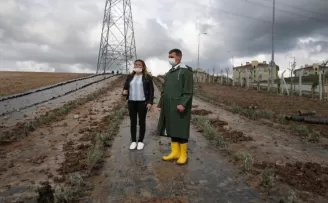 Gölbaşı’nı lavanta kokuları saracak
