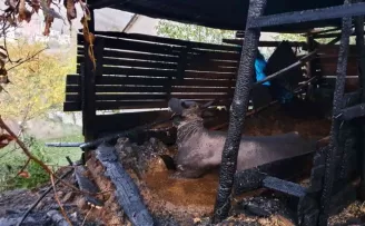 Gümüşhane’de ahır yangını
