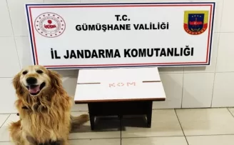 Gümüşhane’de extacy hap ve tütün operasyonu