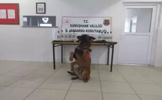 Gümüşhane’de kaçak alkol operasyonu