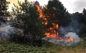 Gümüşhane’de orman ve örtü yangını