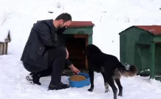 Sokak hayvanlarına şefkat eli