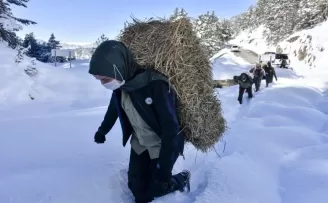 Gümüşhane’de yaban hayvanları aç bırakılmıyor
