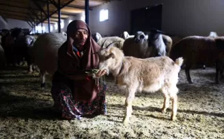 Gümüşhaneli kadınlardan hayvancılığa yatırım!