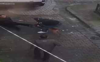 Güngören’de pitbul dehşeti, pitbulun ısırdığı genci zor kurtardılar
