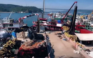 Hamside rekor sezon... 245 bin ton avcılıkla bereketli kapanış