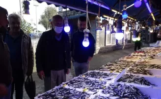 Hamsinin fiyatı 10 TL olunca vatandaş tezgahlara akın etti