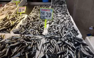 Hamsi doları ikiye katladı!