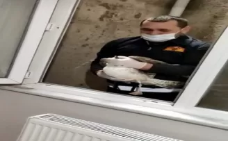 Havalandırma boşluğuna düşen martı kurtarıldı

