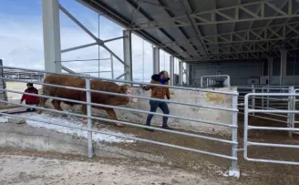 Hayırsever besiciler depremzedelere hayvan bağışı yaptı
