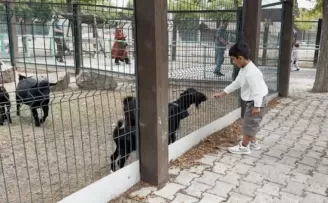 Hayvanat Bahçesi’nde 30 Ağustos bereketi