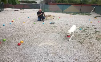 Hayvanseverler sokak hayvanları için bahar şenliğinde buluştu
