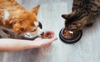 HEKTAŞ, pet mama üretim tesisi kuruyor
