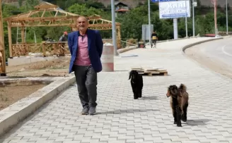 Her yere yavru keçileri ile gidiyor
