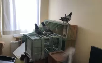 Hırsızlık zanlıları, balkondan kaçmaya çalışırken yakalandı
