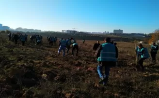 Hükümlülerin son 3 yılda ’dikili ağacı’ 2,5 milyona yaklaştı
