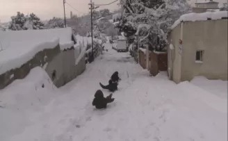 İstanbul’a yağan karın tadını çocuklar çıkardı
