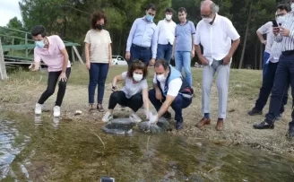 İstanbul’da 14 gölette 573 bin 500 adet sazan yavrusu bırakıldı
