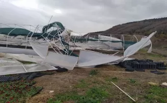 İstanbul’da etkili olan lodos seraları vurdu
