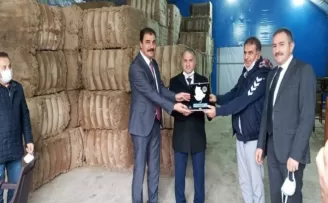 İstiridye mantarı yöre halkının yeni gelir kapısı oldu
