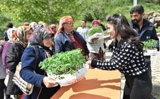 İzmir Bornova’da 150 bin yazlık sebze fidesi dağıtıldı