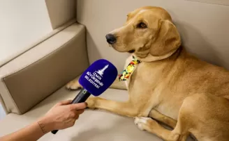 İzmir’de patili dost Bal, merkezin neşesi oldu