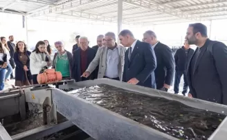 İzmir’de sezonun ilk zeytinyağı Başkan Tugay’dan