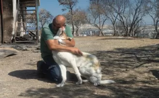 İzmir’de yangından kurtarılan Kaptan’a sıcak yuva