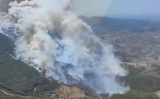 İzmir Menderes’te orman yangını... Havadan ve karadan müdahale sürüyor