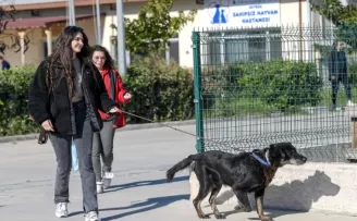 İzmir Menemen’deki yangından kurtarılan 17 hayvana Büyükşehir sahip çıktı